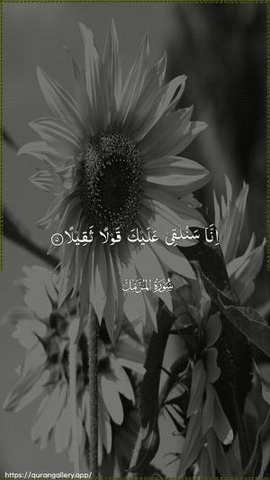 Al-Muzzammil Ayah 5 - Arabic wallpaper