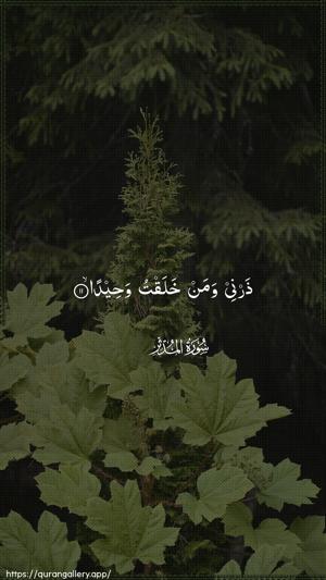 Al-Muddaththir Ayah 11 - Arabic wallpaper