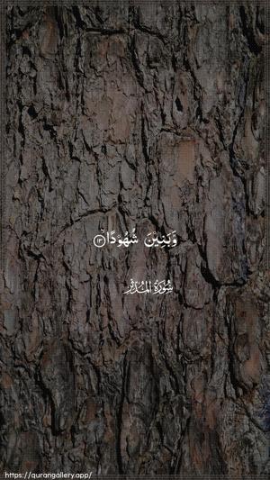 Al-Muddaththir Ayah 13 - Arabic wallpaper