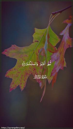 Al-Muddaththir Ayah 23 - Arabic wallpaper