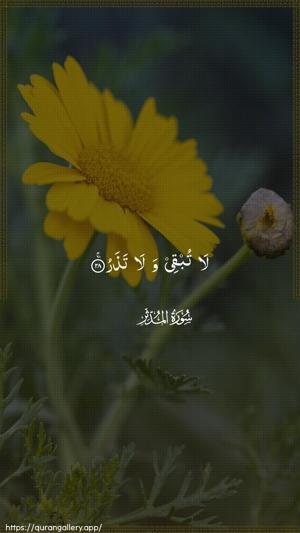 Al-Muddaththir Ayah 28 - Arabic wallpaper