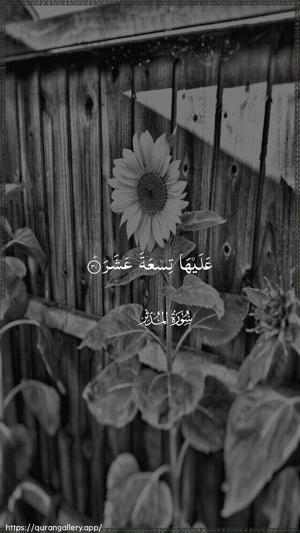 Al-Muddaththir Ayah 30 - Arabic wallpaper