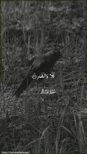 Al-Muddaththir Ayah 32 - Arabic wallpaper