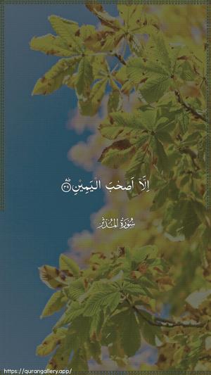 Al-Muddaththir Ayah 39 - Arabic wallpaper