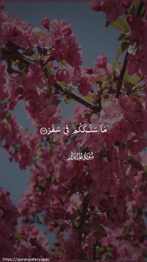 Al-Muddaththir Ayah 42 - Arabic wallpaper