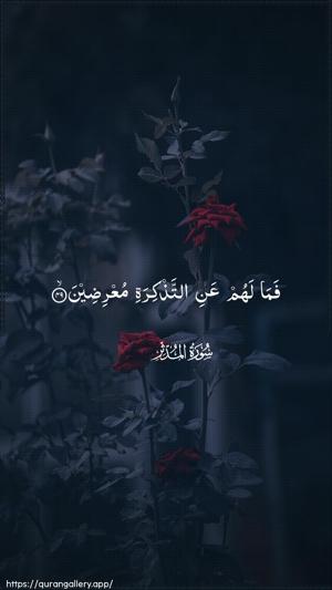 Al-Muddaththir Ayah 49 - Arabic wallpaper