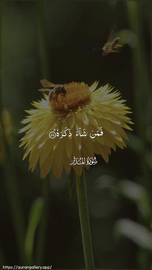 Al-Muddaththir Ayah 55 - Arabic wallpaper