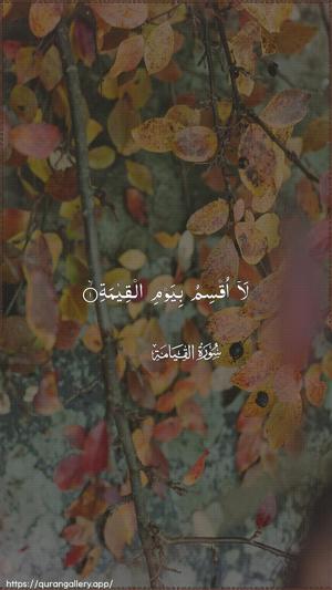 Al-Qiyaama Ayah 1 - Arabic wallpaper