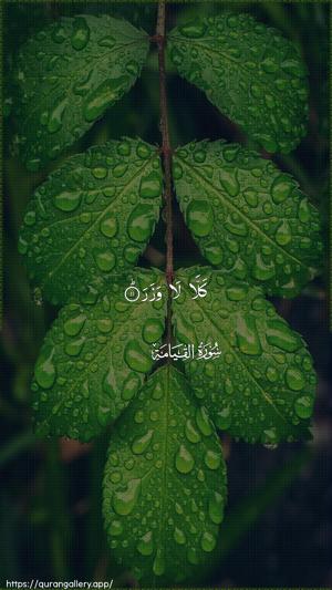 Al-Qiyaama Ayah 11 - Arabic wallpaper