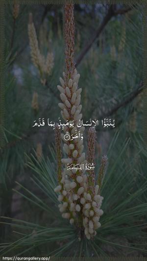 Al-Qiyaama Ayah 13 - Arabic wallpaper