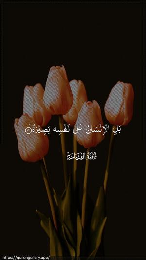 Al-Qiyaama Ayah 14 - Arabic wallpaper