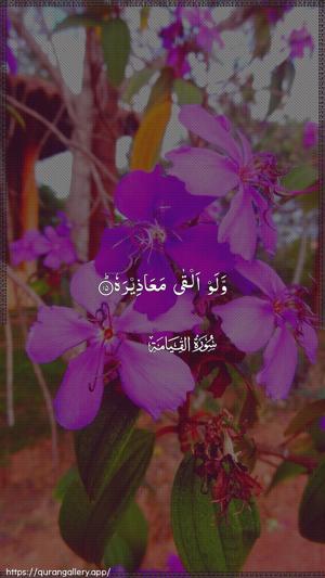 Al-Qiyaama Ayah 15 - Arabic wallpaper