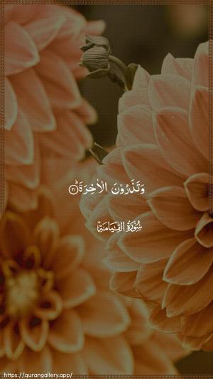 Al-Qiyaama Ayah 21 - Arabic wallpaper