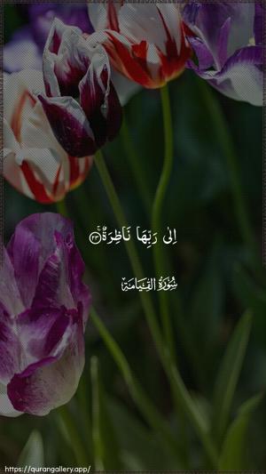 Al-Qiyaama Ayah 23 - Arabic wallpaper