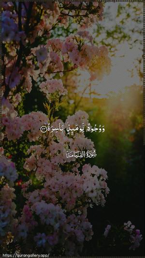 Al-Qiyaama Ayah 24 - Arabic wallpaper