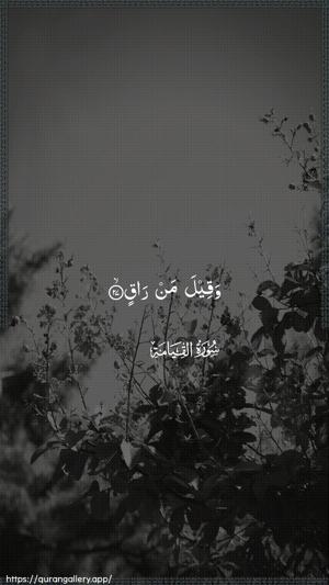 Al-Qiyaama Ayah 27 - Arabic wallpaper