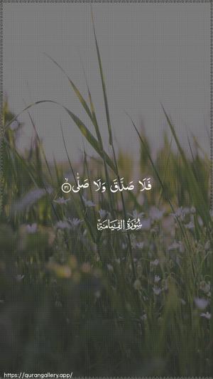 Al-Qiyaama Ayah 31 - Arabic wallpaper
