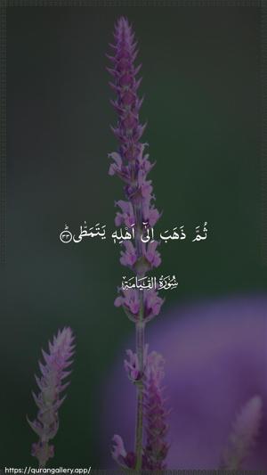 Al-Qiyaama Ayah 33 - Arabic wallpaper