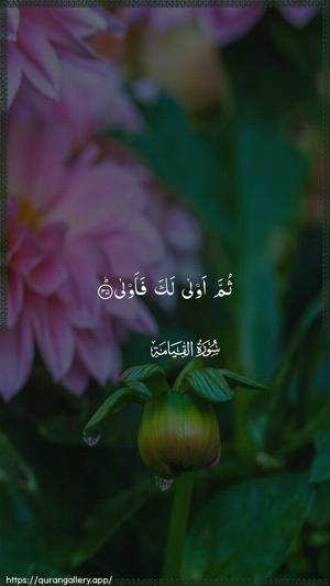 Al-Qiyaama Ayah 35 - Arabic wallpaper