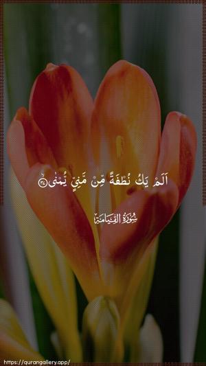 Al-Qiyaama Ayah 37 - Arabic wallpaper