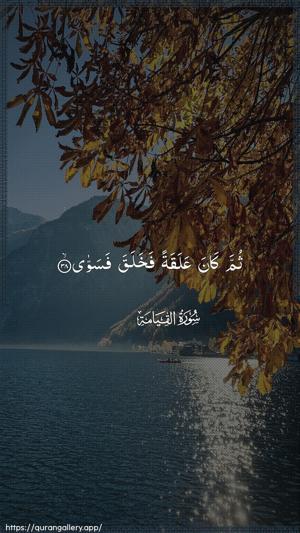 Al-Qiyaama Ayah 38 - Arabic wallpaper
