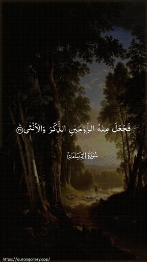 Al-Qiyaama Ayah 39 - Arabic wallpaper