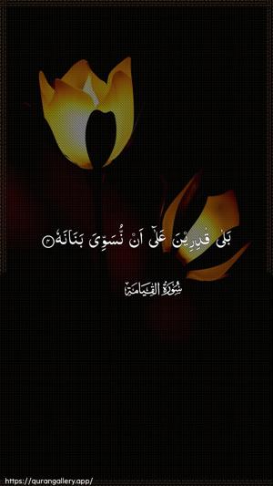 Al-Qiyaama Ayah 4 - Arabic wallpaper
