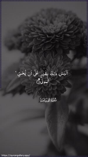Al-Qiyaama Ayah 40 - Arabic wallpaper