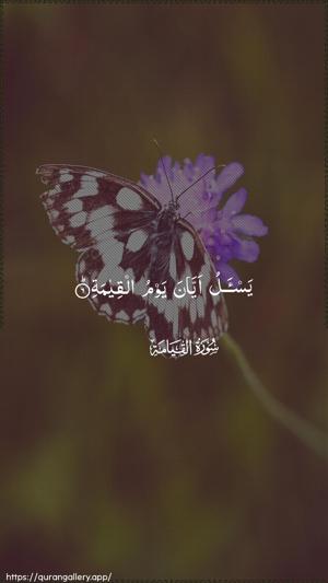 Al-Qiyaama Ayah 6 - Arabic wallpaper