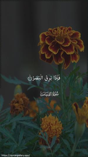 Al-Qiyaama Ayah 7 - Arabic wallpaper