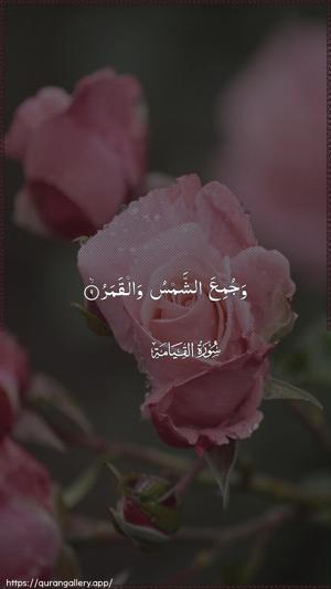 Al-Qiyaama Ayah 9 - Arabic wallpaper