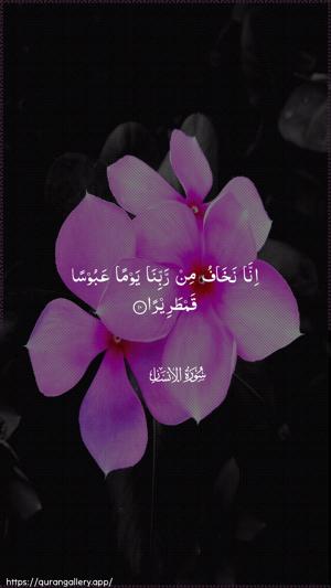 Al-Insaan Ayah 10 - Arabic wallpaper