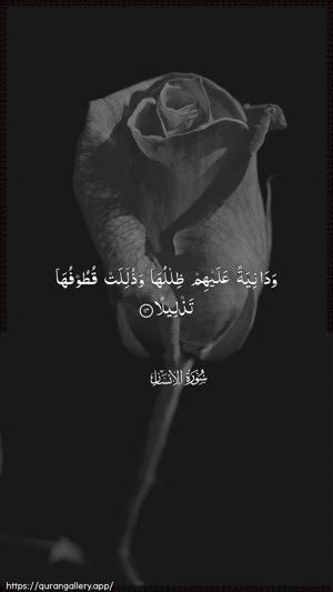 Al-Insaan Ayah 14 - Arabic wallpaper