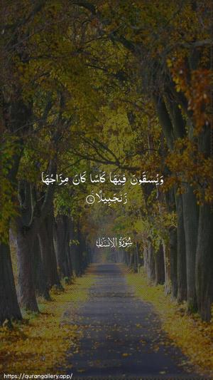 Al-Insaan Ayah 17 - Arabic wallpaper