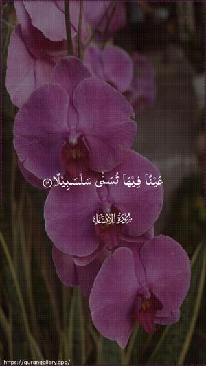 Al-Insaan Ayah 18 - Arabic wallpaper