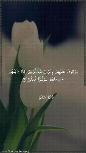 Al-Insaan Ayah 19 - Arabic wallpaper