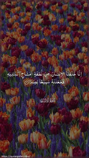 Al-Insaan Ayah 2 - Arabic wallpaper