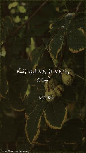 Al-Insaan Ayah 20 - Arabic wallpaper