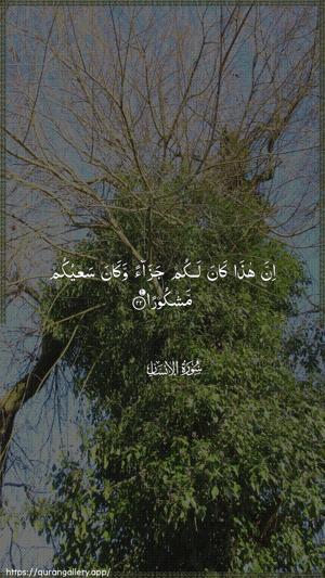 Al-Insaan Ayah 22 - Arabic wallpaper