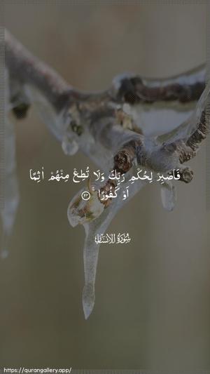 Al-Insaan Ayah 24 - Arabic wallpaper