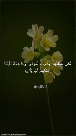 Al-Insaan Ayah 28 - Arabic wallpaper
