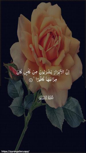 Al-Insaan Ayah 5 - Arabic wallpaper
