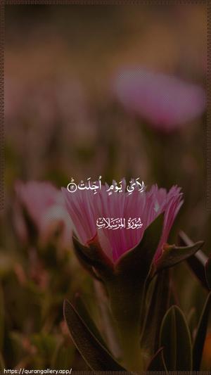 Al-Mursalaat Ayah 12 - Arabic wallpaper