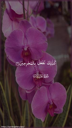 Al-Mursalaat Ayah 18 - Arabic wallpaper
