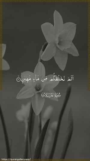 Al-Mursalaat Ayah 20 - Arabic wallpaper
