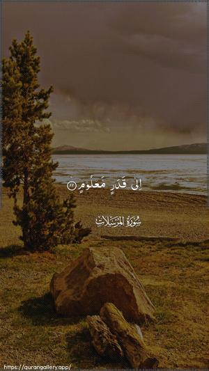 Al-Mursalaat Ayah 22 - Arabic wallpaper