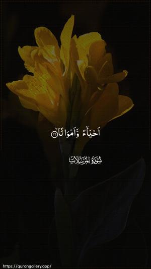 Al-Mursalaat Ayah 26 - Arabic wallpaper