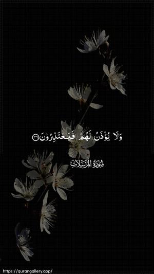Al-Mursalaat Ayah 36 - Arabic wallpaper