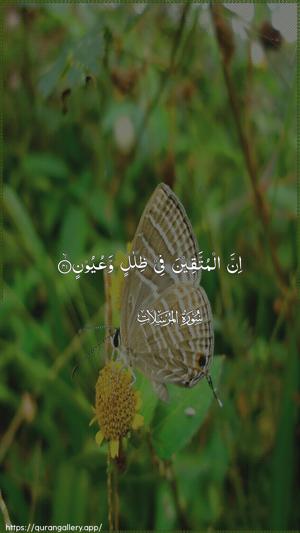 Al-Mursalaat Ayah 41 - Arabic wallpaper