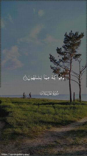 Al-Mursalaat Ayah 42 - Arabic wallpaper
